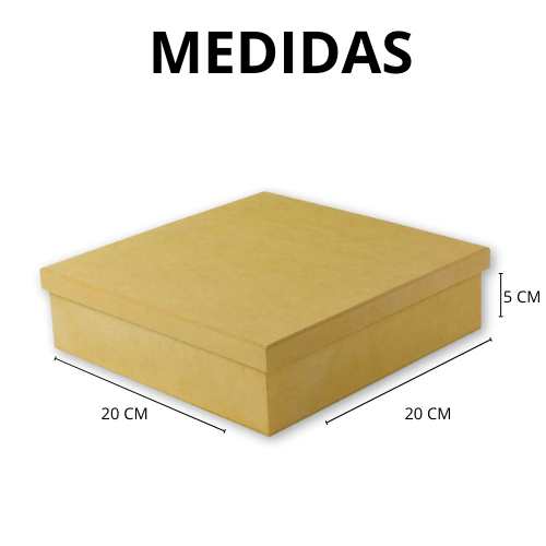 Caixa em MDF artesanato madeira crua cru 4 Divisões 20x20x5